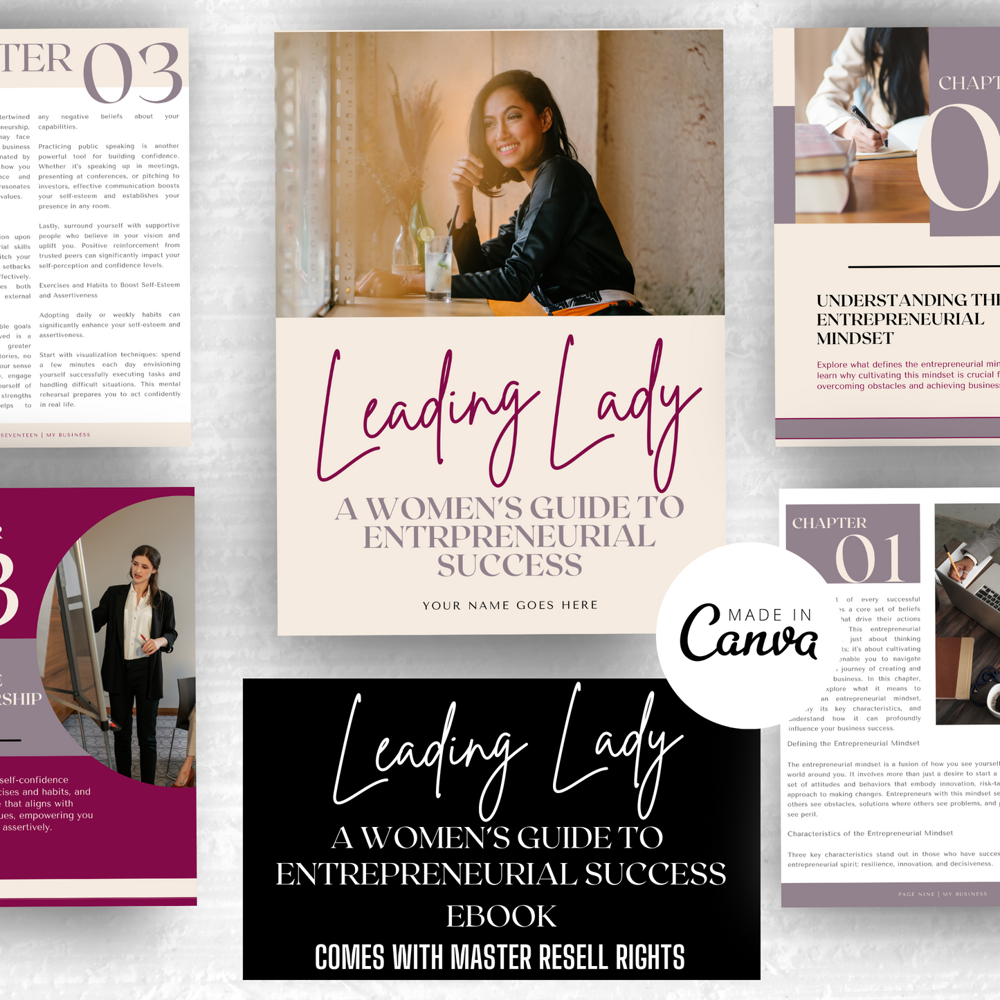 Leading Lady: A Women's Guide to Entrepreneurial Success